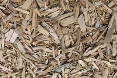 biomass boilers Almer